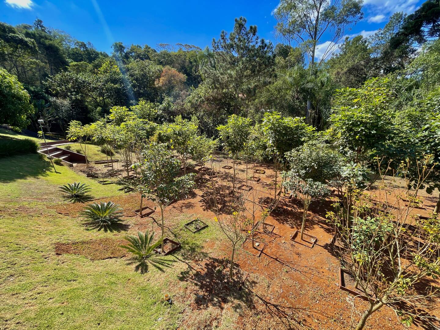 Fazenda à venda com 3 quartos, 480m² - Foto 13