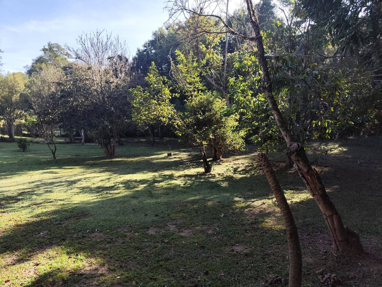 Fazenda à venda com 3 quartos, 150m² - Foto 20