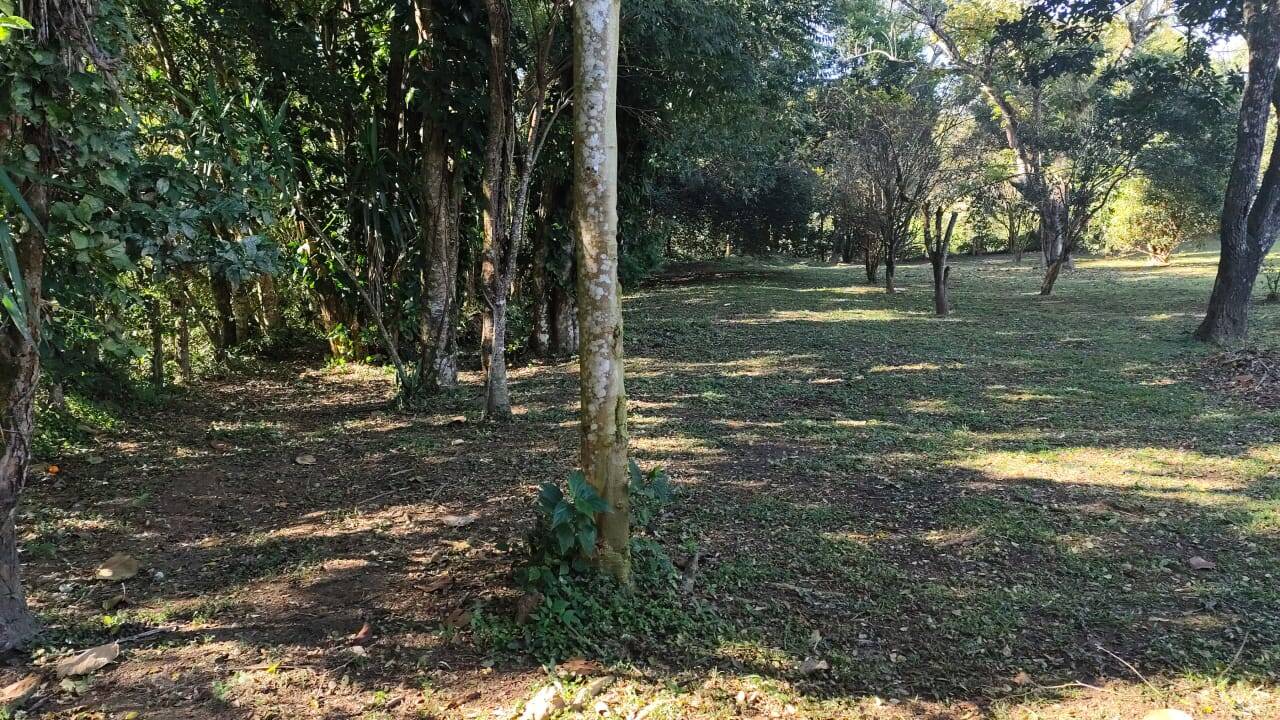 Fazenda à venda com 3 quartos, 150m² - Foto 25