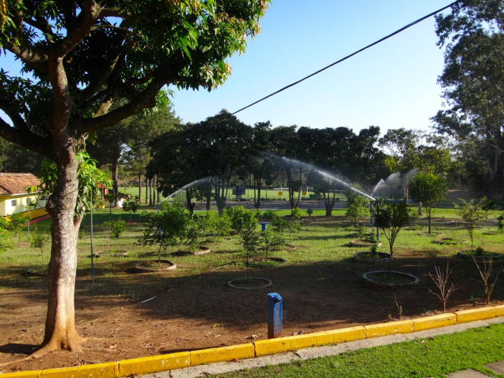 Fazenda à venda com 5 quartos, 3000m² - Foto 10