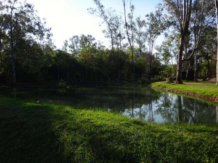 Fazenda à venda com 5 quartos, 3000m² - Foto 14