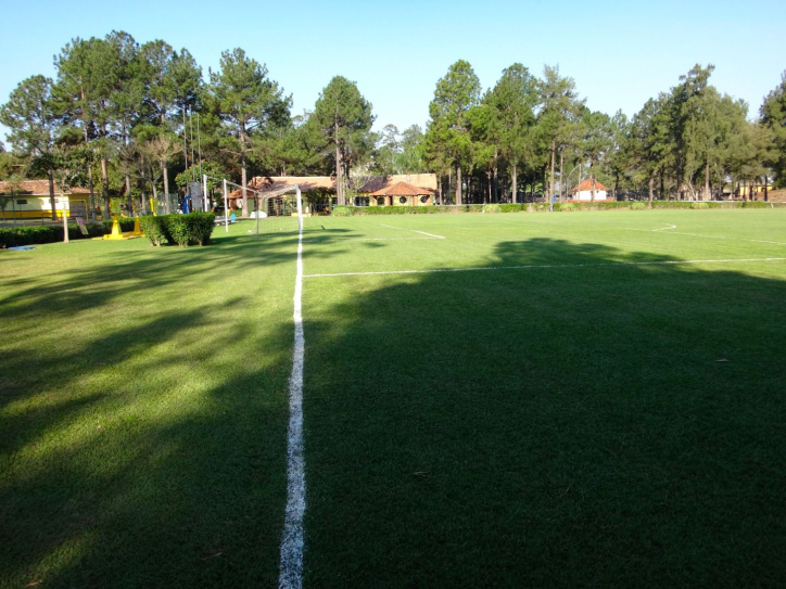 Fazenda à venda com 5 quartos, 3000m² - Foto 16