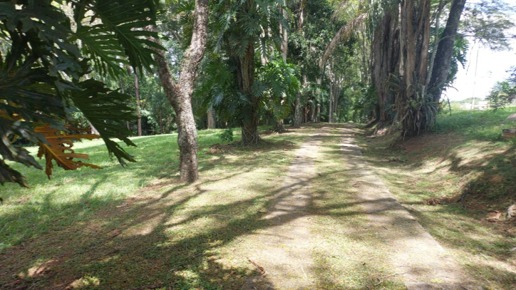 Fazenda à venda com 4 quartos, 641m² - Foto 106