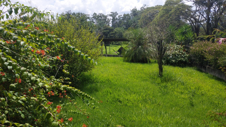 Fazenda à venda com 4 quartos, 641m² - Foto 114