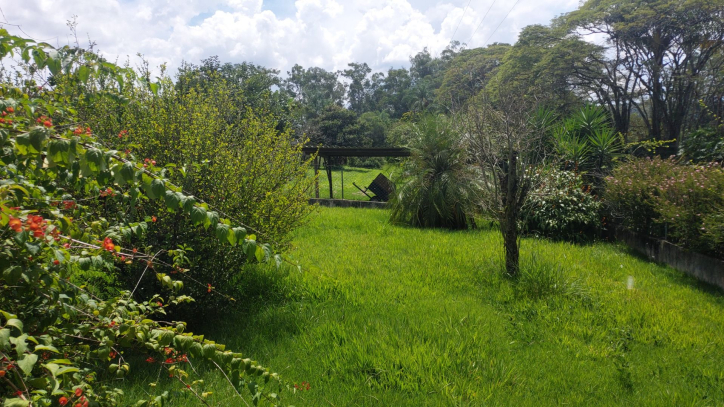 Fazenda à venda com 4 quartos, 641m² - Foto 115