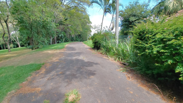 Fazenda à venda com 4 quartos, 641m² - Foto 121