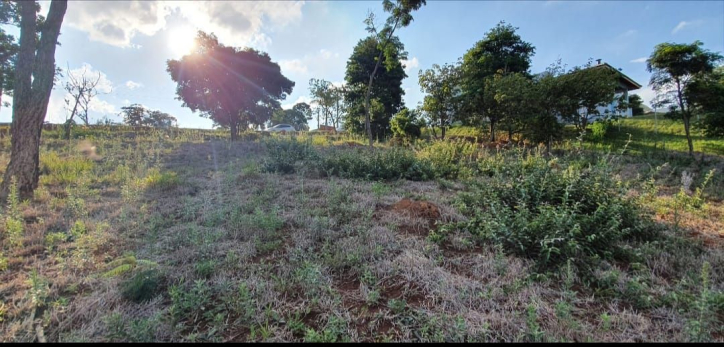 Terreno à venda, 1000m² - Foto 4