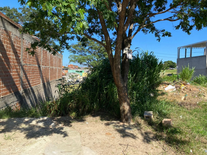 Terreno à venda, 250m² - Foto 2