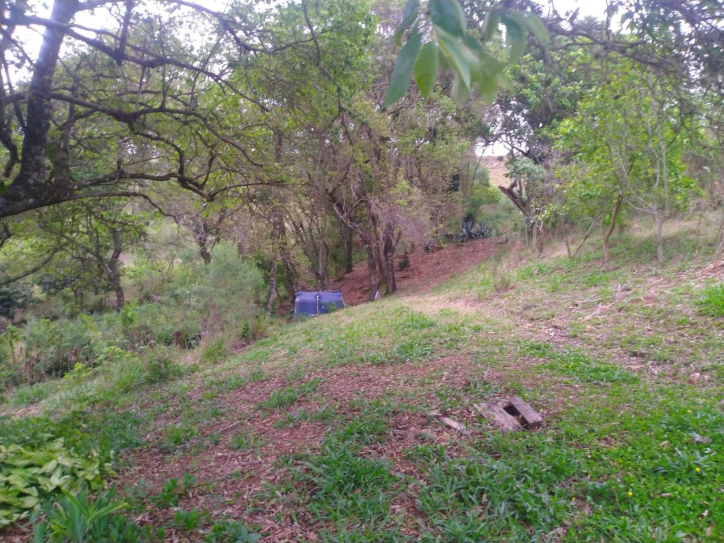 Fazenda à venda com 3 quartos, 350m² - Foto 30