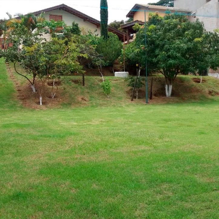 Fazenda à venda com 3 quartos, 280m² - Foto 8