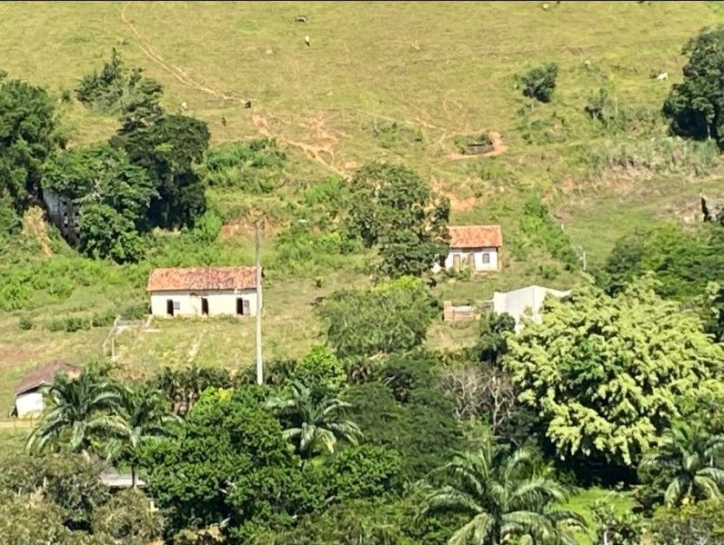 Fazenda à venda com 10 quartos, 785m² - Foto 5