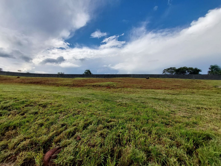 Terreno à venda, 600m² - Foto 5