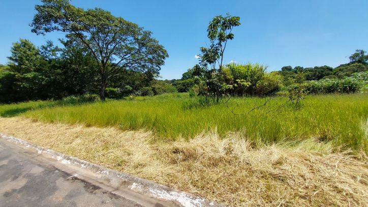 Terreno à venda, 1200m² - Foto 1