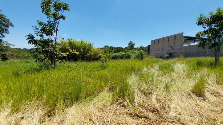 Terreno à venda, 1200m² - Foto 2