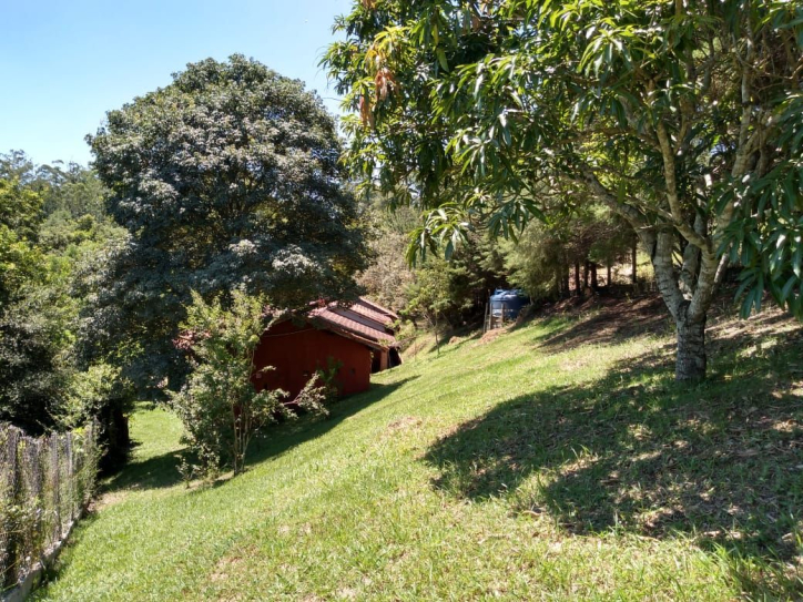 Fazenda à venda com 7 quartos, 366m² - Foto 6