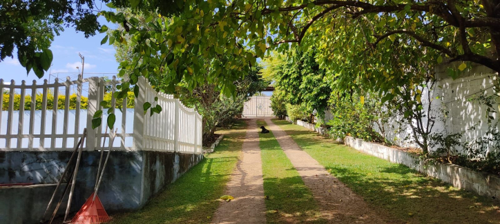 Fazenda à venda com 3 quartos, 240m² - Foto 12