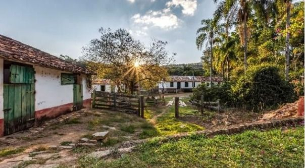 Fazenda à venda com 6 quartos, 500m² - Foto 29