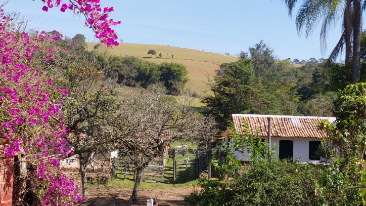 Fazenda à venda com 6 quartos, 500m² - Foto 53