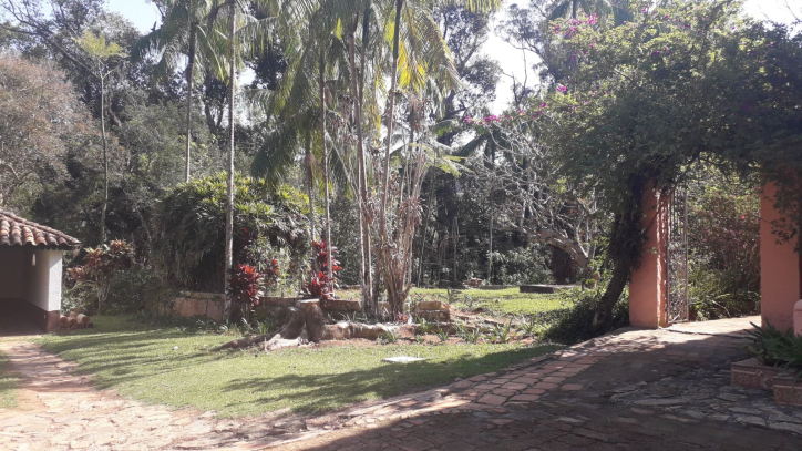 Fazenda à venda com 6 quartos, 500m² - Foto 66