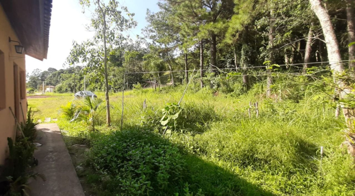 Fazenda à venda com 6 quartos, 380m² - Foto 23