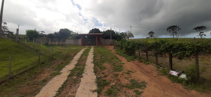 Fazenda à venda com 3 quartos, 300m² - Foto 4