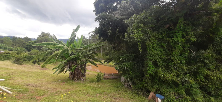 Fazenda à venda com 3 quartos, 300m² - Foto 30