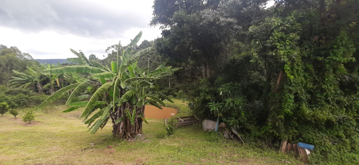 Fazenda à venda com 3 quartos, 300m² - Foto 31