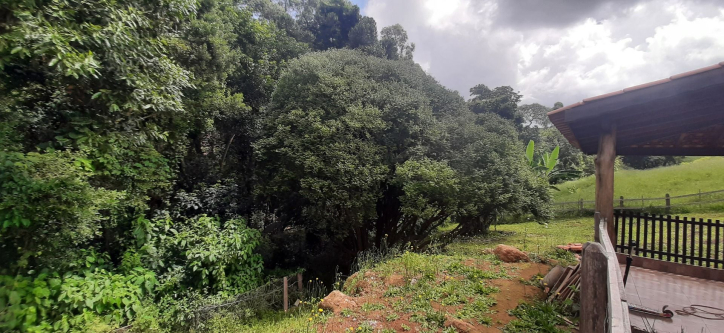 Fazenda à venda com 3 quartos, 300m² - Foto 32