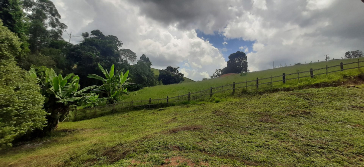 Fazenda à venda com 3 quartos, 300m² - Foto 35