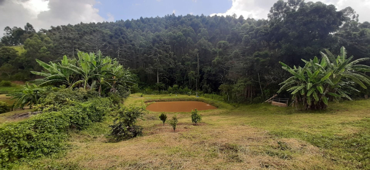 Fazenda à venda com 3 quartos, 300m² - Foto 62