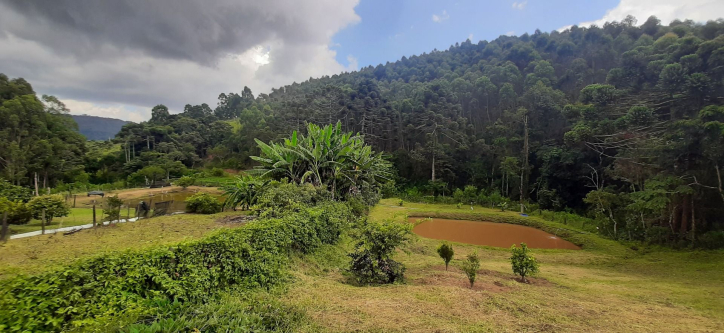 Fazenda à venda com 3 quartos, 300m² - Foto 63