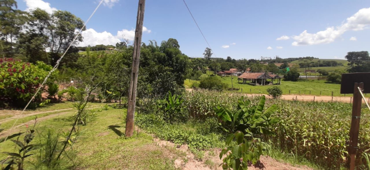 Fazenda à venda com 3 quartos, 150m² - Foto 11