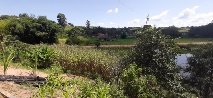 Fazenda à venda com 3 quartos, 150m² - Foto 32