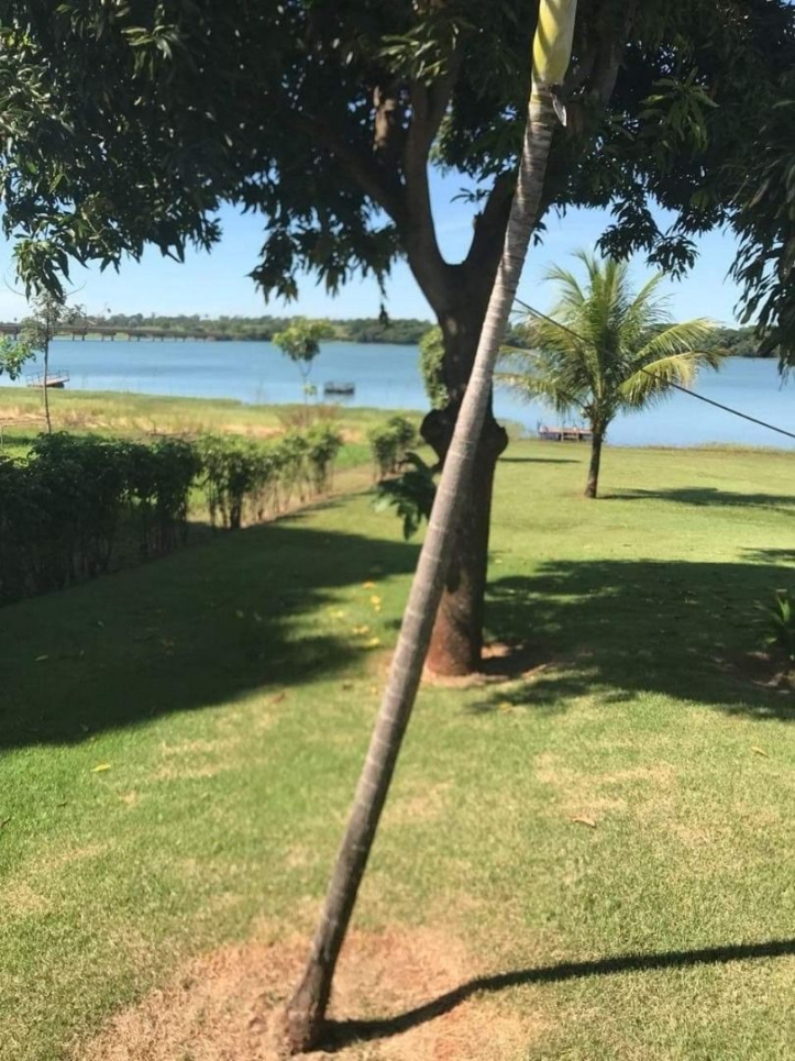 Fazenda à venda com 3 quartos, 1650m² - Foto 10