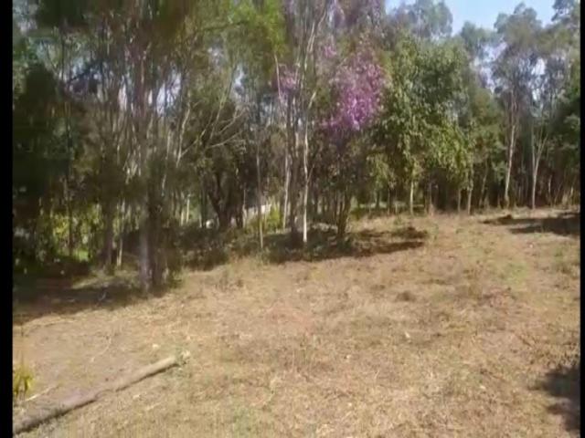 #TE0237 - Terreno para Venda em Ribeirão Pires - SP - 2