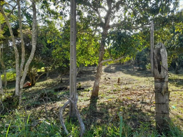 Terreno para Venda em Ribeirão Pires - 4