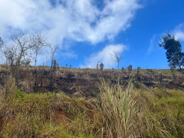 #TE0288 - Terreno para Venda em Santa Isabel - SP - 1