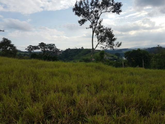 #TE0288 - Terreno para Venda em Santa Isabel - SP - 2