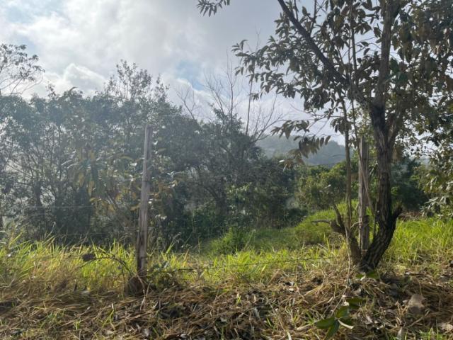 Terreno para Venda em Santa Isabel - 4