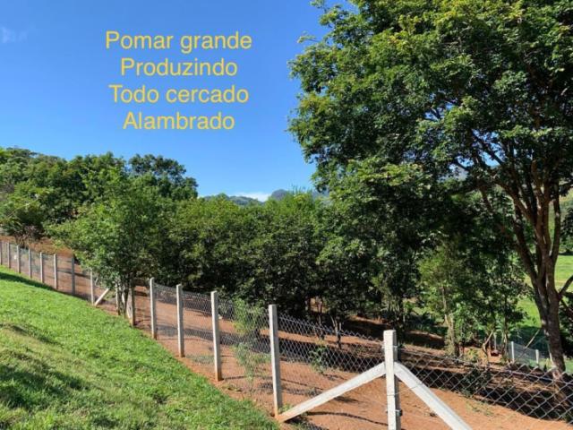 Sítio para Venda em Gonçalves - 4