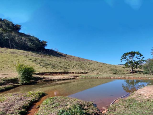 #SI0040 - Sítio para Venda em Bom Repouso - MG - 1