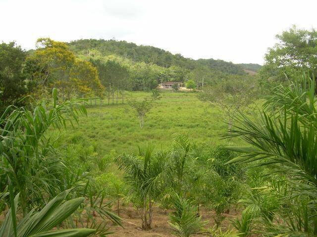 Venda em Parque Santa Rosa - Suzano