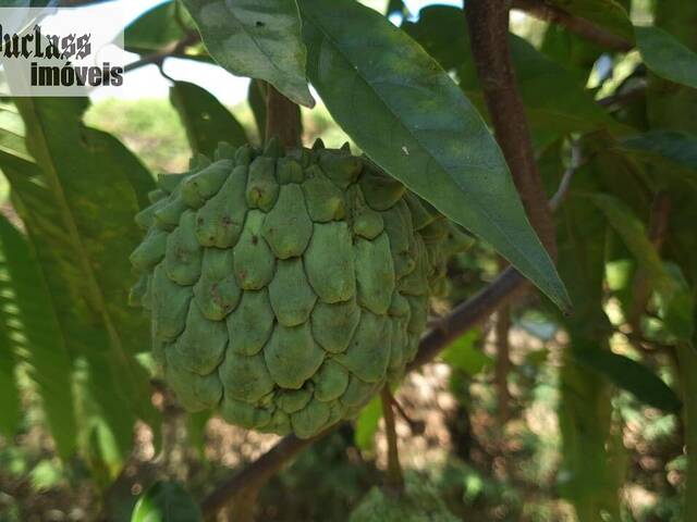 Chácara para Venda em Atibaia - 2