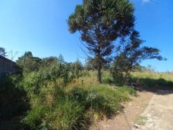 #TE0385 - Terreno em condomínio para Venda em Piracaia - SP - 2