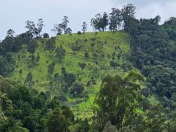 #AR0042 - Área para Venda em Atibaia - SP - 3