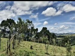 #TE0328 - Terreno para Venda em Joanópolis - SP - 2