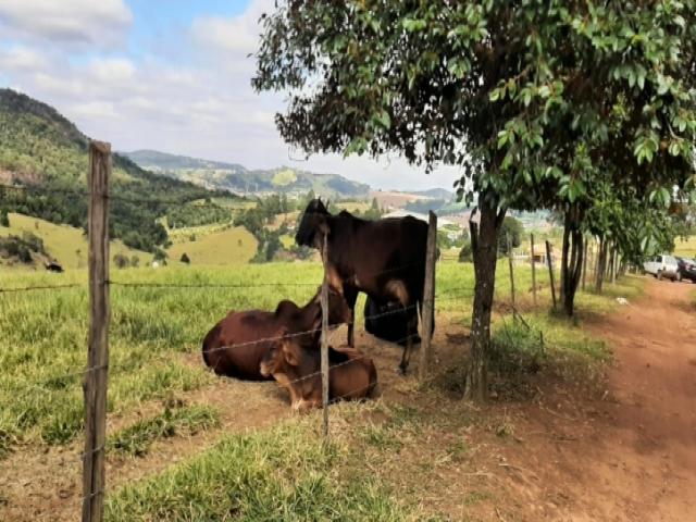 #SI0021 - Sítio para Venda em Atibaia - SP - 2