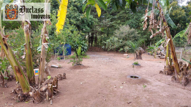 Fazenda à venda com 4 quartos, 162m² - Foto 51