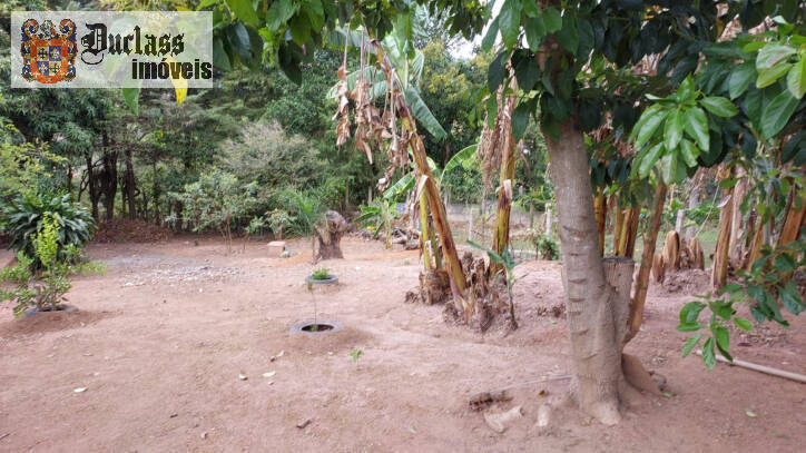 Fazenda à venda com 4 quartos, 162m² - Foto 52