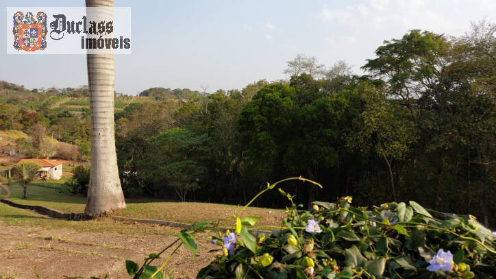 Fazenda à venda com 6 quartos, 450m² - Foto 11